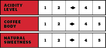 Project 360 - Badra Estates: Chikmagalur, Karnataka | Arabica | Anaerobic Naturals | Medium