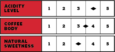 Project 360 - Badra Estates: Chikmagalur, Karnataka | Arabica | Red Honey | Light