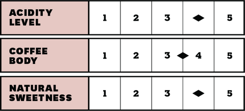 Project Salawara Bros.: Salawara Estate, Karnataka | Culture Natural | Light Roast