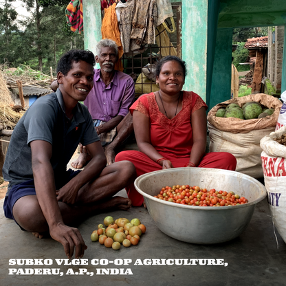 Lot #SV07 - SUBKO VLGE: Co-operative Agriculture (86+): Paderu Valley, Dobarra Washed (Medium Roast) [Pan-India]
