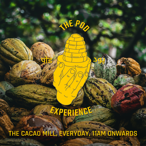 The Pod Experience at The Cacao Mill: From The Farm to The Cacao Mill { EVERYDAY }