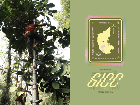 Project SICC: Subko X Mooley Manay Estate