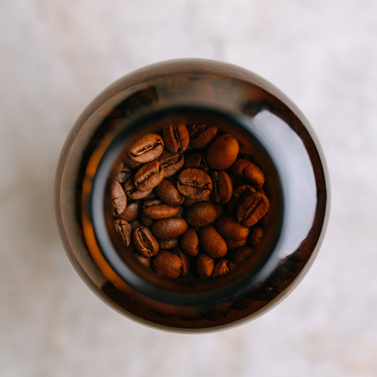 Longevity Jar (Jar Only, No Beans) [India Only]